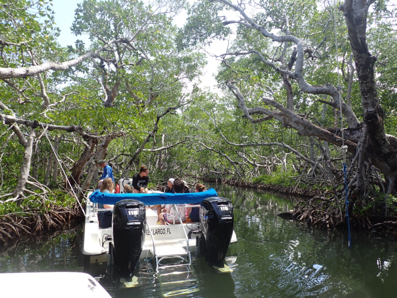 Students sit on a boat among mangroves.