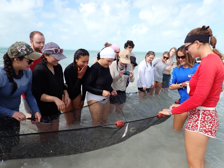 A group of students in knee-deep water hold a net containing a fish.