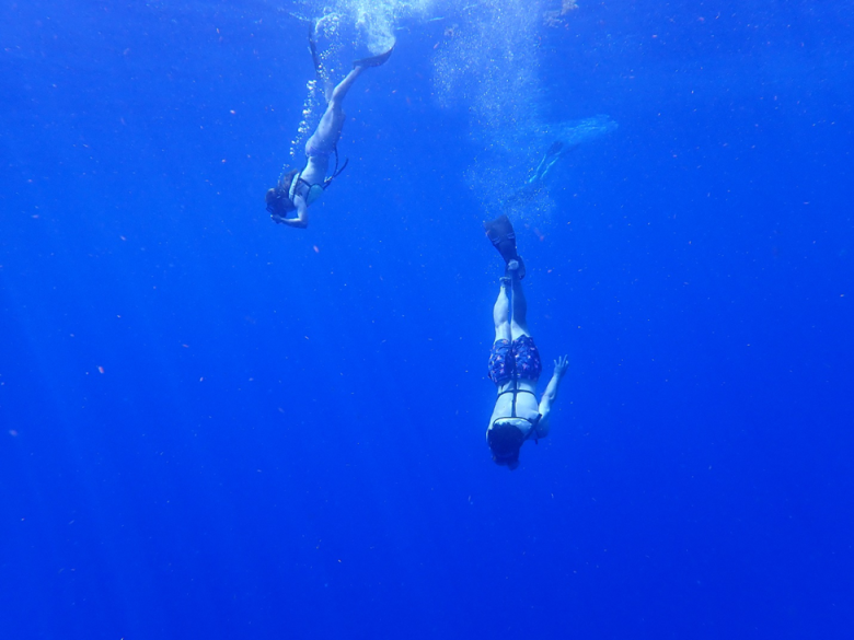 Two students free dive in open ocean.