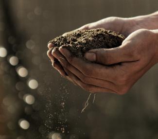 Soil in hands